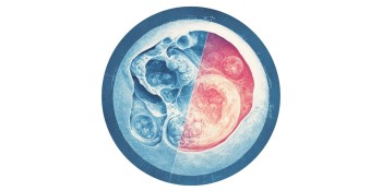 Fresh vs. Frozen Embryo Transfer: How to Decide Which Approach is Best for Your Body