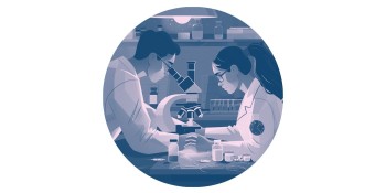 The role of oocyte denudation in embryo selection